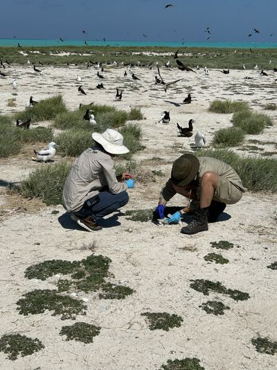 Staff taking samples on a beach.