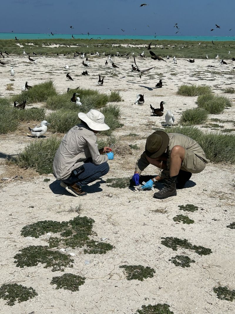 Staff taking samples on a beach.