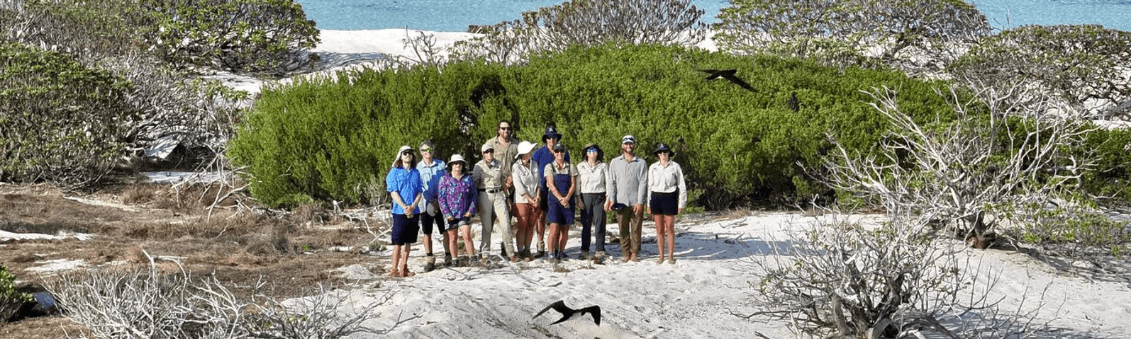 A group of 11 people standing on a beach with white sand, in front of a green shrub. There are dried, switsty brushy plants in the foreground and pale blue ocean in the background