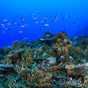Our marine park grants round 4