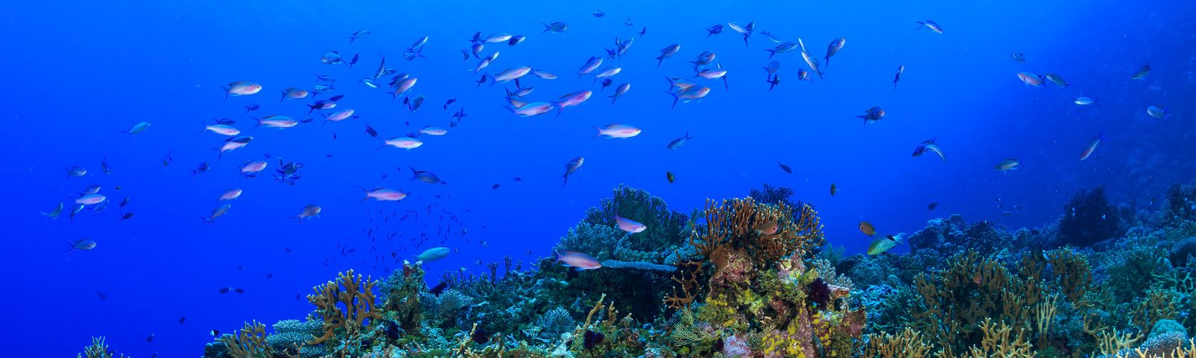Our marine park grants round 4