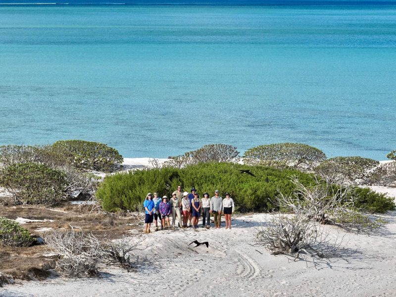 A group of 11 people standing on a beach with white sand, in front of a green shrub. There are dried, switsty brushy plants in the foreground and pale blue ocean in the background.