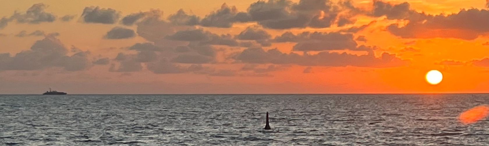 Sunset over the ocean with a dorsal fin in the distance