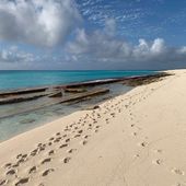 A beach with large slabs of rock sticking out of the ocean. There are several sets of footprints along the beach, one leading away from the others
