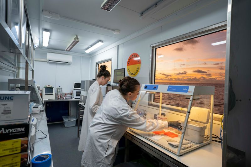 A laboratory looking out over the ocean sunset. Two female scientists wearing white lab coats and gloves are standing at a desk looking over samples. . Credit: Minderoo Foundation