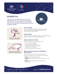 H5 bird flu factsheet